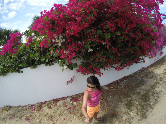 DCIM354GOPRO