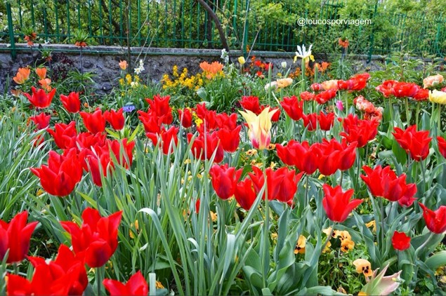 image (6)