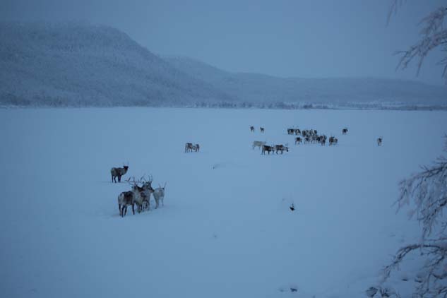 Aurora_Boreal_Laponia_Piloto-1605-1