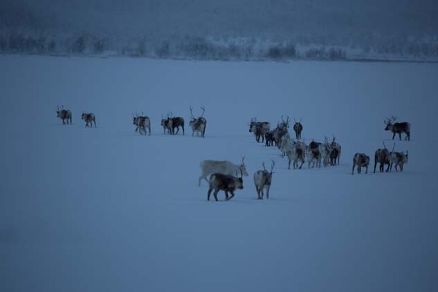 Aurora_Boreal_Laponia_Piloto-1607