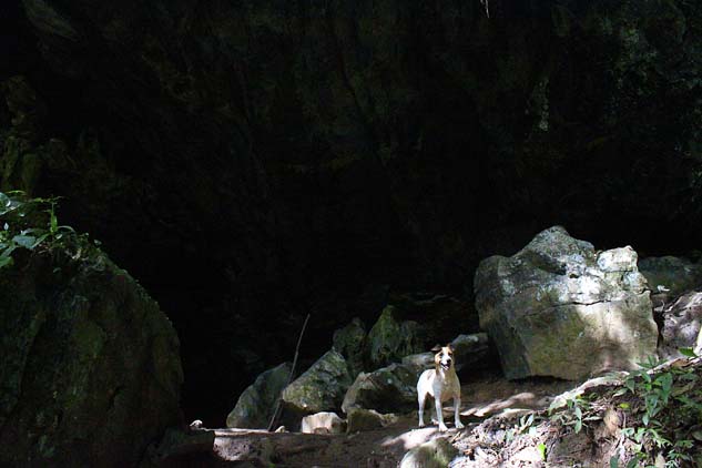 2016 - Caverna Alambari de Baixo (10).1