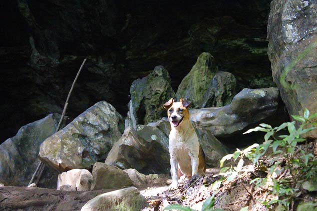 2016 - Caverna Alambari de Baixo (13).1