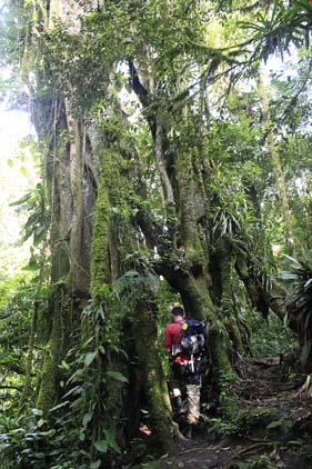 2016 - Trilha do Betari (17).trat