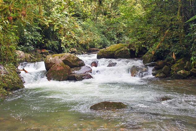 2016 - Trilha do Betari (32).trat