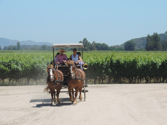 Vale do Colchagua