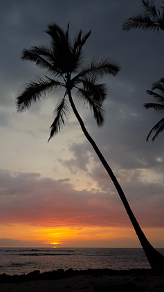 big-island-793-puuhonua-o-honaunau-park-edit-editado