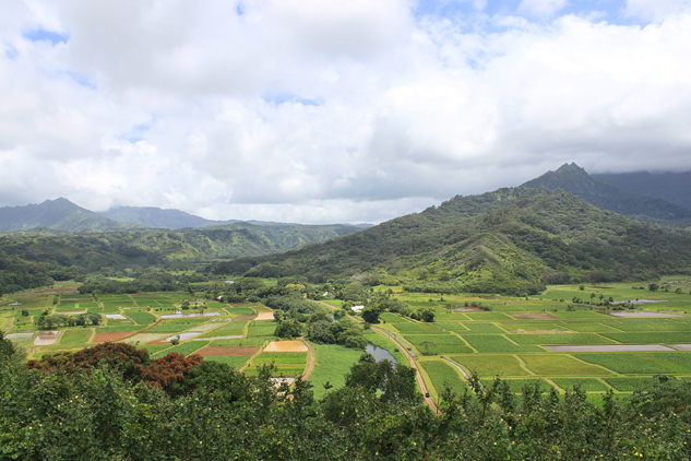 kauai-23-6-princeville-hanalei-edit-editado