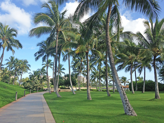 oahu-15-koolina-bay-edit-editado