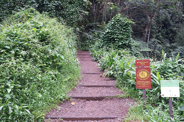 oahu-16-manoa-falls-edit-editado