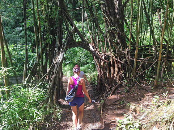 oahu-23-manoa-falls-edit-editado