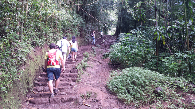 oahu-28-manoa-falls-edit-editado