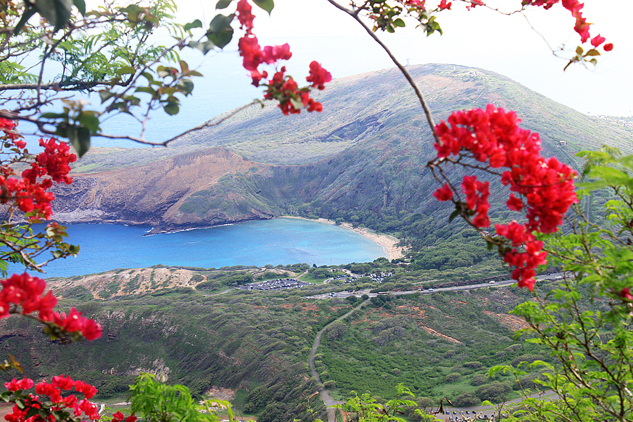 oahu-34-koko-crater-trail-edit-editado