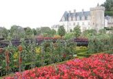 Vale do Loire