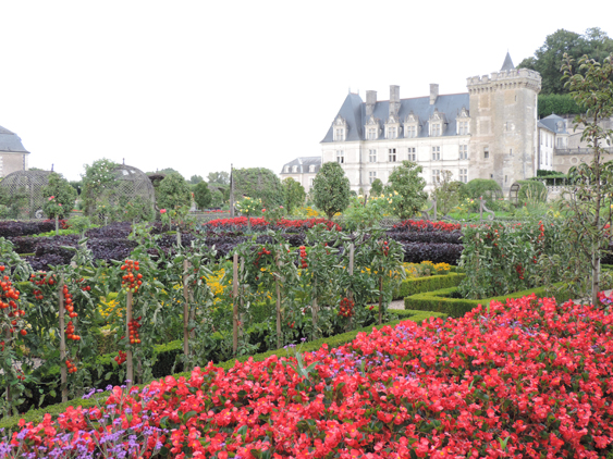 Vale do Loire 