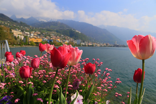 Primavera em Montreux