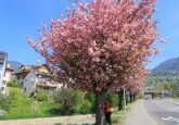 Primavera em Montreux