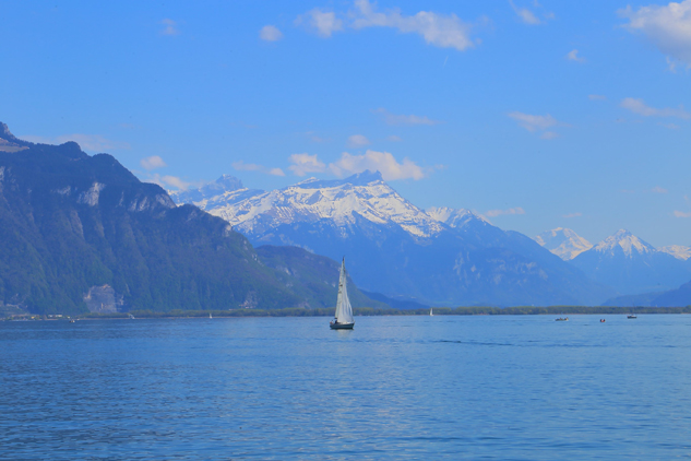 Pimavera em Vevey