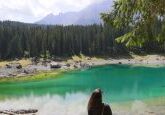 Lago di Carezza