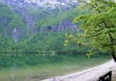 Bohinj Lake 