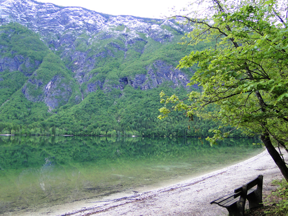 Bohinj Lake 