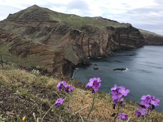 Ponta de São Lourenço