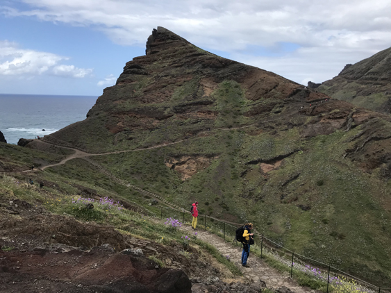 Ponta de São Lourenço