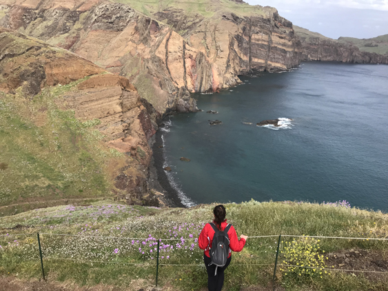 Ponta de São Lourenço