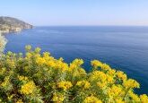 Corniglia