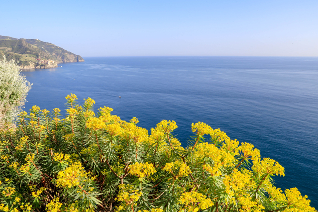 Corniglia