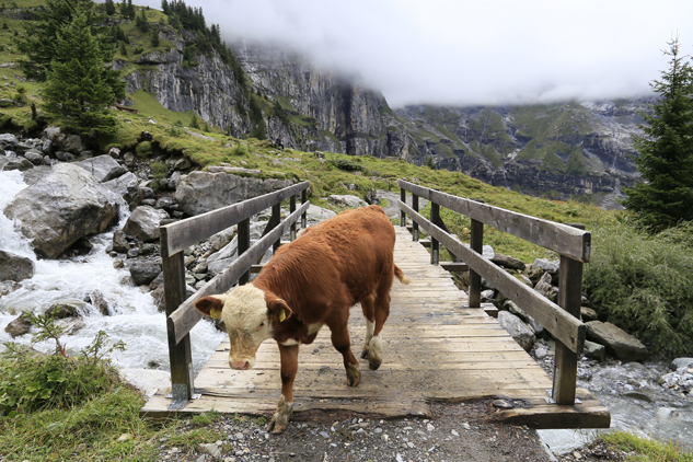 Oeschinensee