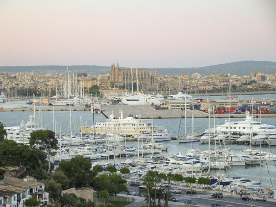 Palma