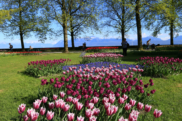 Morges, Suíça