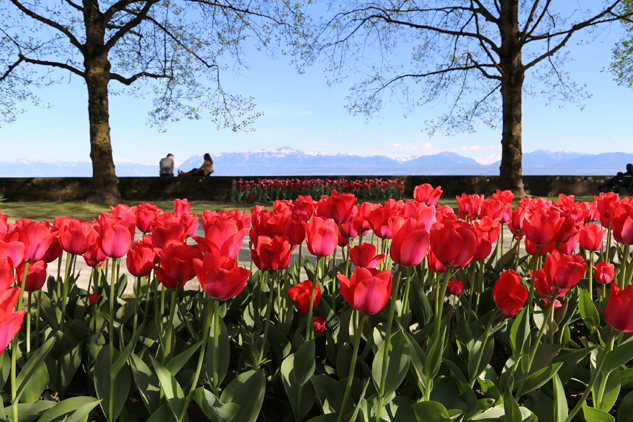 Morges, Suíça