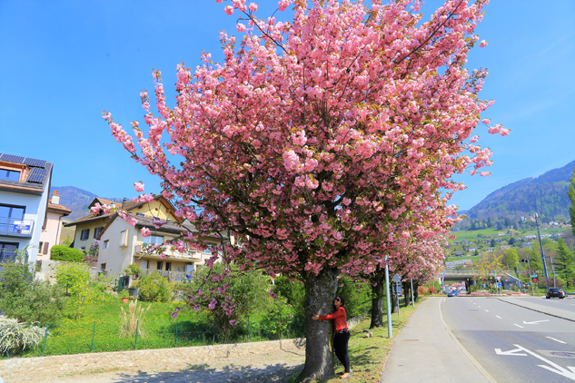 Montreux