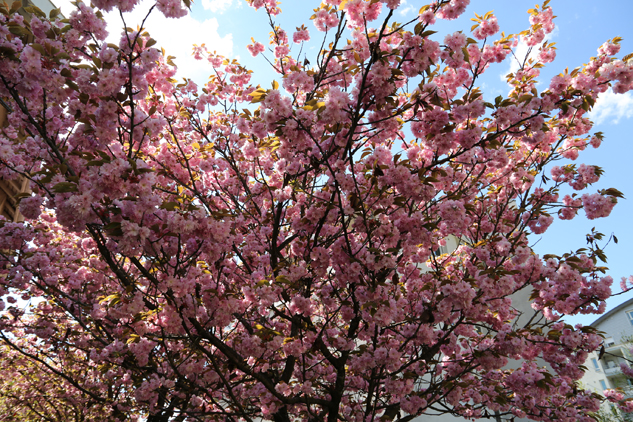 Annecy na Primavera