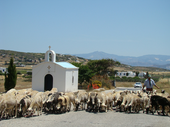 ilha de paros