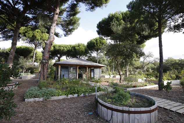 Horta
