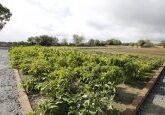 horta